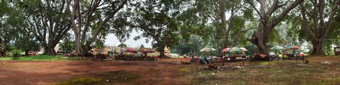 Kakku, 2014