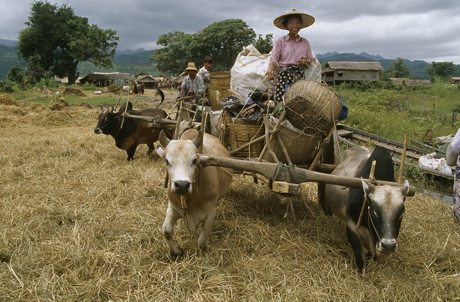 Market in Lone Kam, Inle Lake (2004)