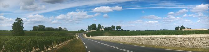 Pauillac, Medoc, 2007