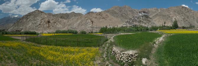 Chamrey gompa, July 2014
