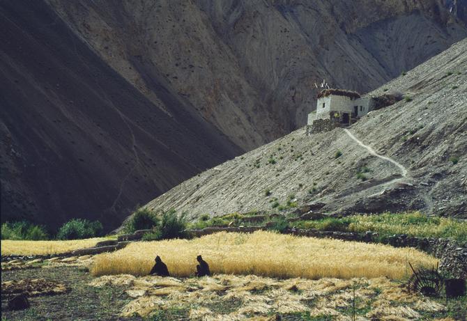 A house near Hinju, 1990