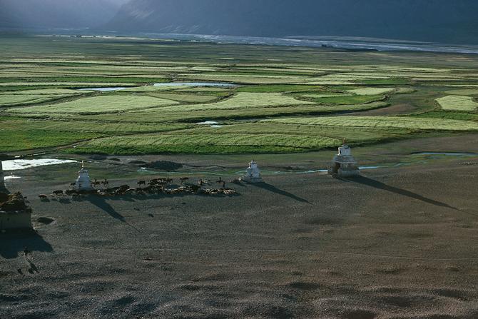 Zanskar Valley underneath of Pibiting, 1976