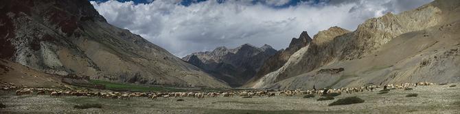 Pasture above Kanji, 2003
