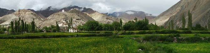 Tingmosgang, July 2014