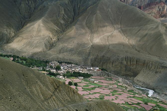 Ghemi, 2010