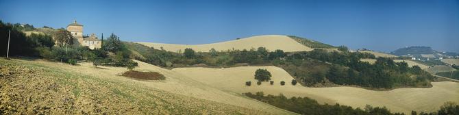 Around Altidona, Province Fermo, Marche,  October 2001