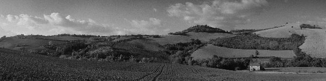 Around Altidona, Province Fermo, Marche