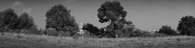 Altidona, Province Fermo, Marche, October 2001