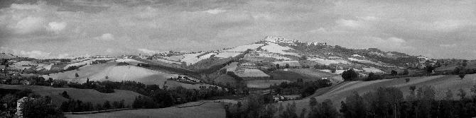 Around Altidona, Province Fermo, Marche,  October 2001