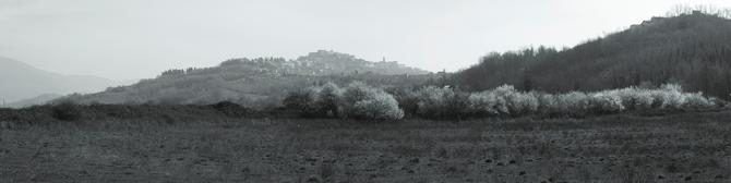 Paliano, March 2014