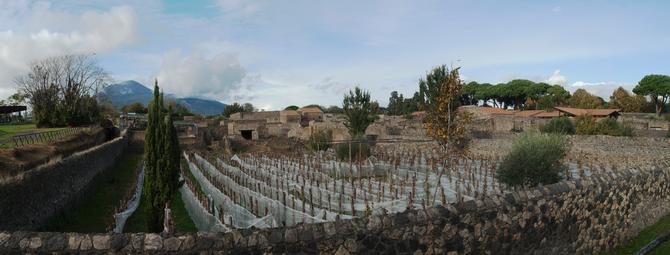 Pompei, November 2013